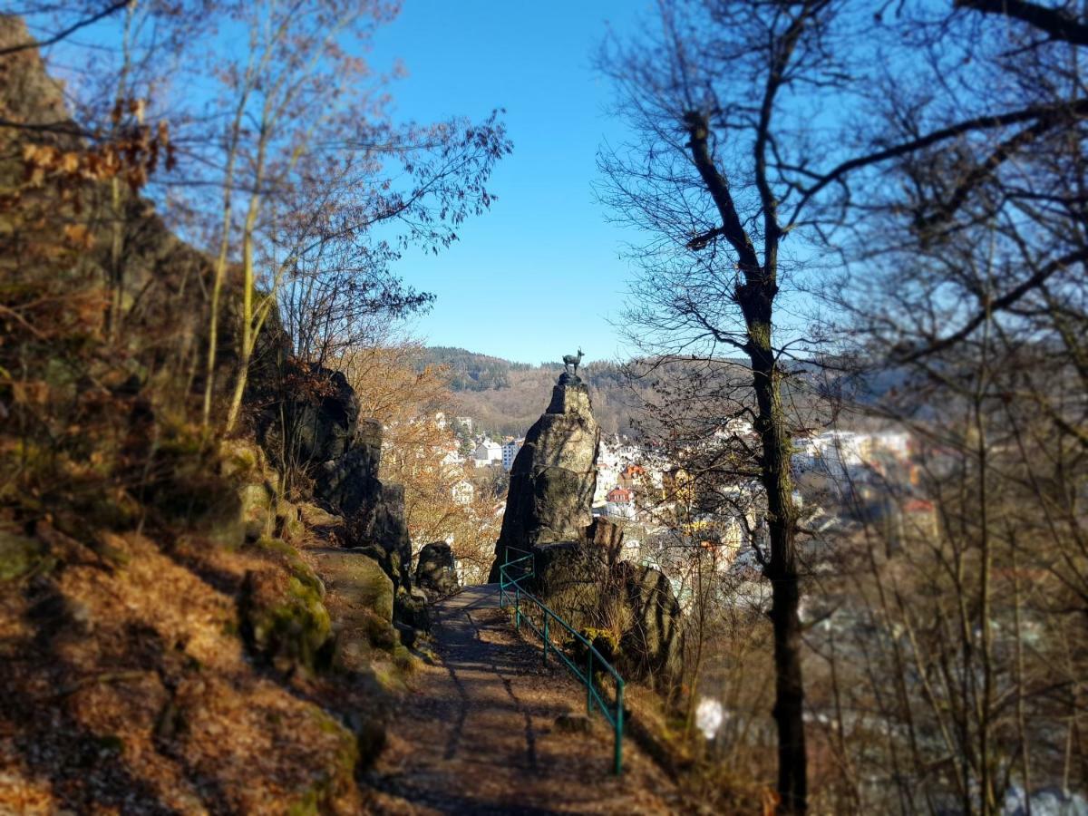 Madonna Apartments Karlovy Vary Ngoại thất bức ảnh